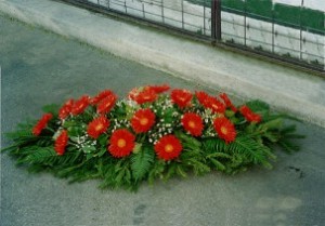 kop_disz_102-95558db4c0