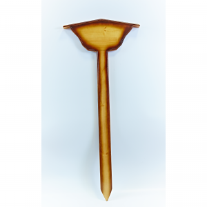 Capture One Session2773